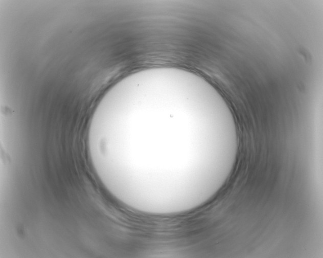 X0000091350264200708101042