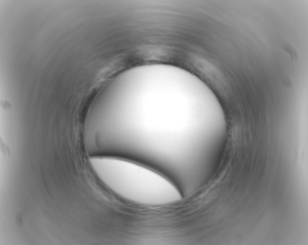 X0000091350265200708101042