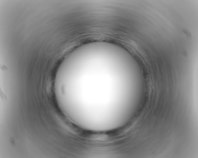 X0000091350266200708101042