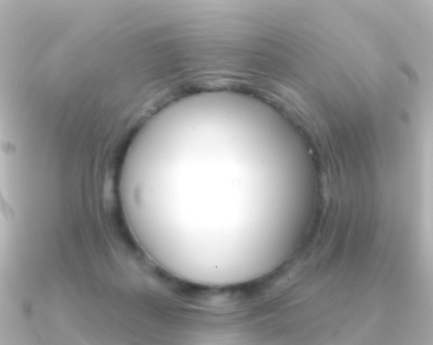 X0000091350267200708101042