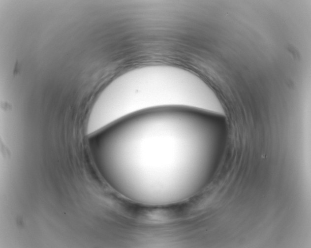 X0000091350268200708101042