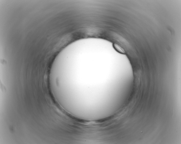 X0000091350269200708101042