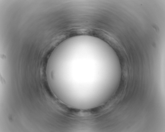 X0000091350270200708101042