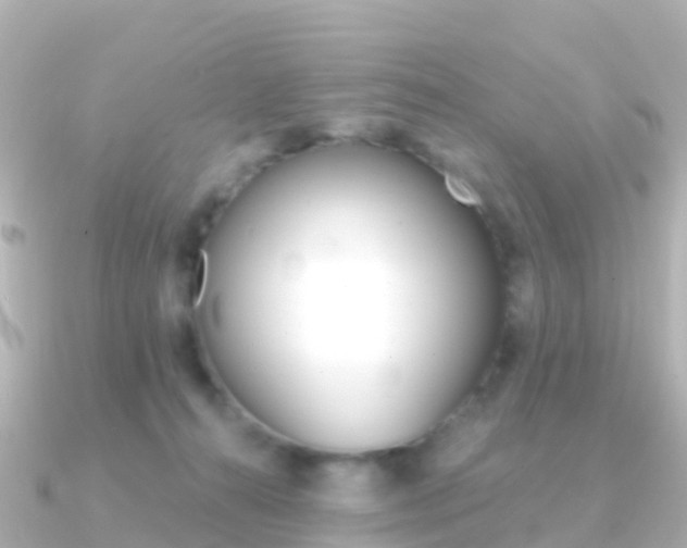 X0000091350272200708101042