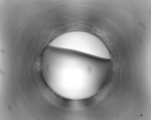 X0000091350273200708101042