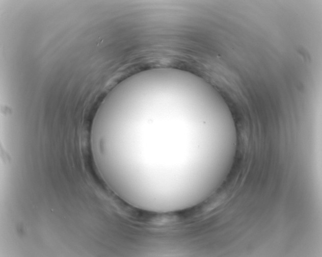 X0000091350274200708101042