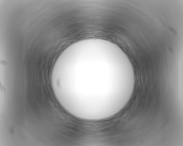 X0000091350276200708101042