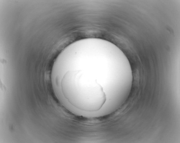 X0000091350278200708101042