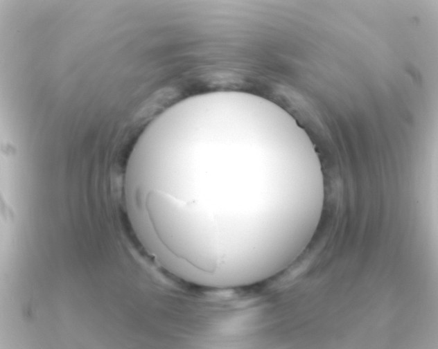 X0000091350281200708101042