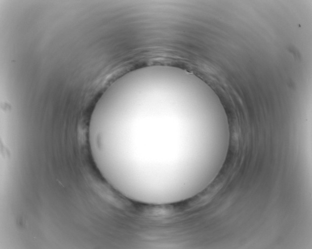 X0000091350282200708101042