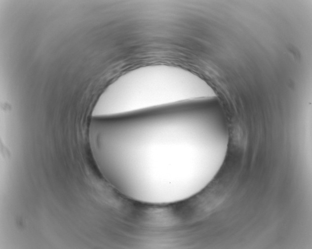 X0000091350283200708101042