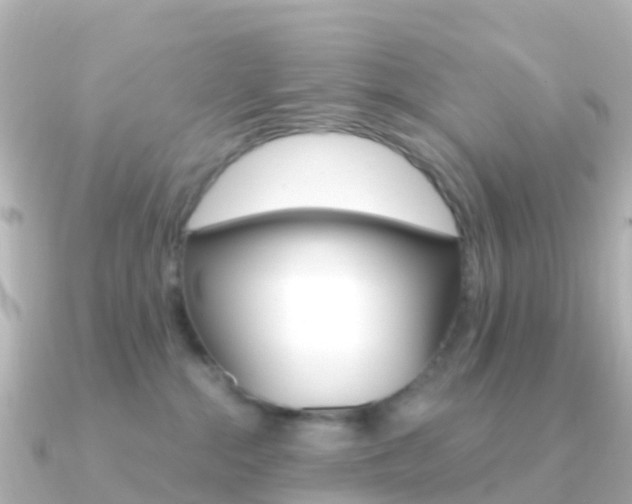 X0000091350284200708101042