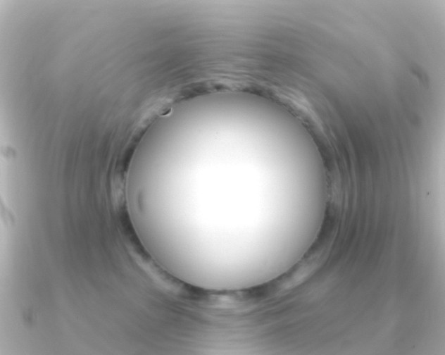 X0000091350285200708101042