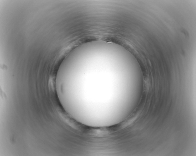 X0000091350286200708101042