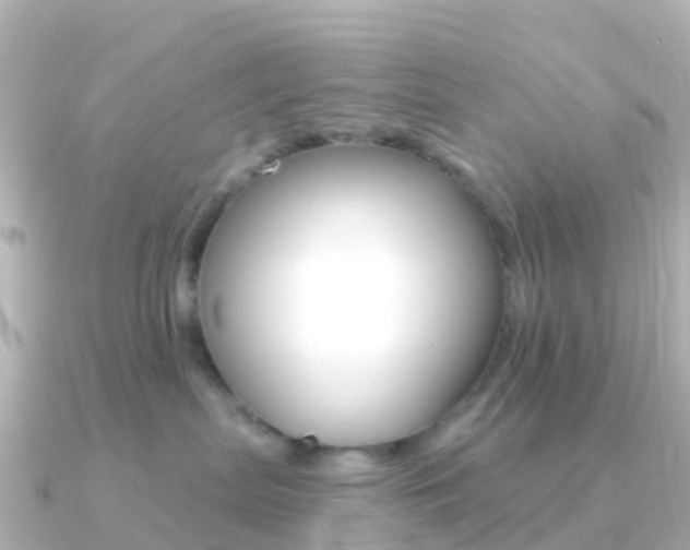 X0000091350287200708101042