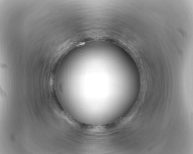 X0000091350288200708101042