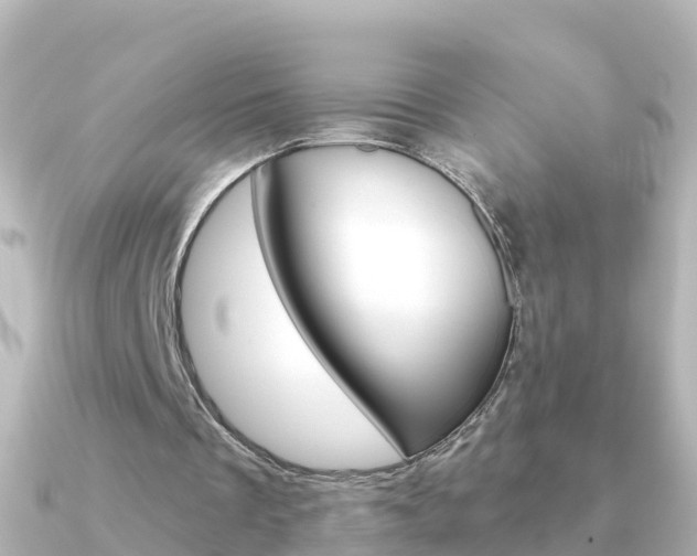 X0000091350289200708101042