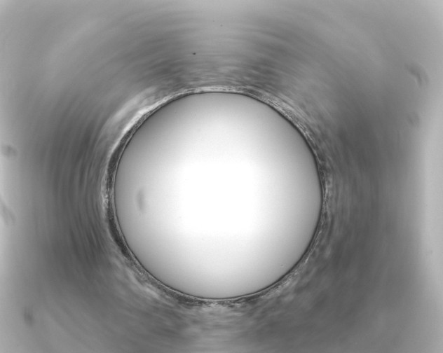 X0000091350290200708101042