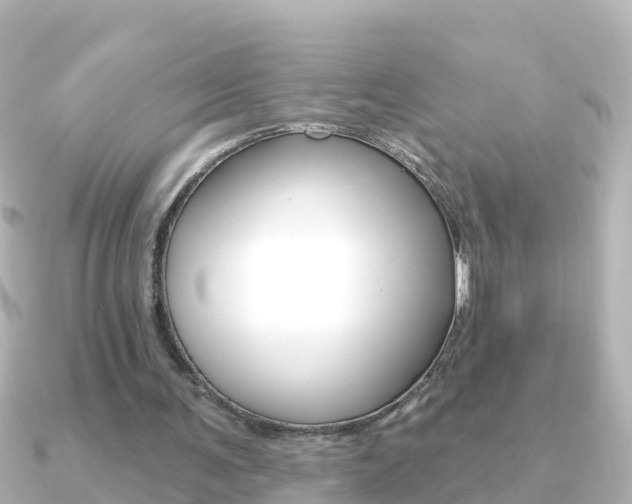 X0000091350291200708101042
