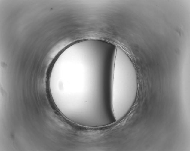 X0000091350292200708101042