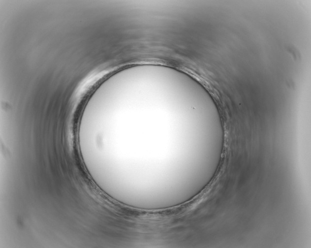 X0000091350294200708101042