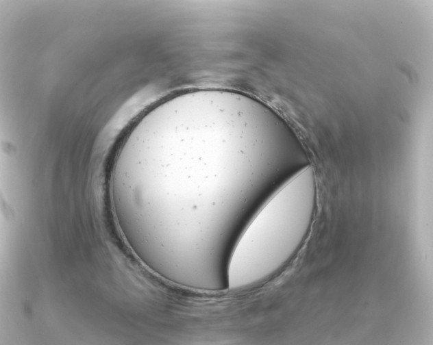 X0000091350295200708101042