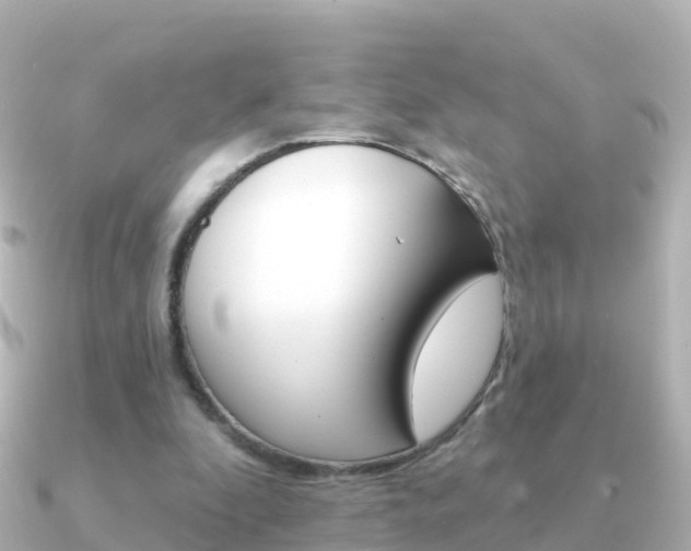 X0000091350296200708101042