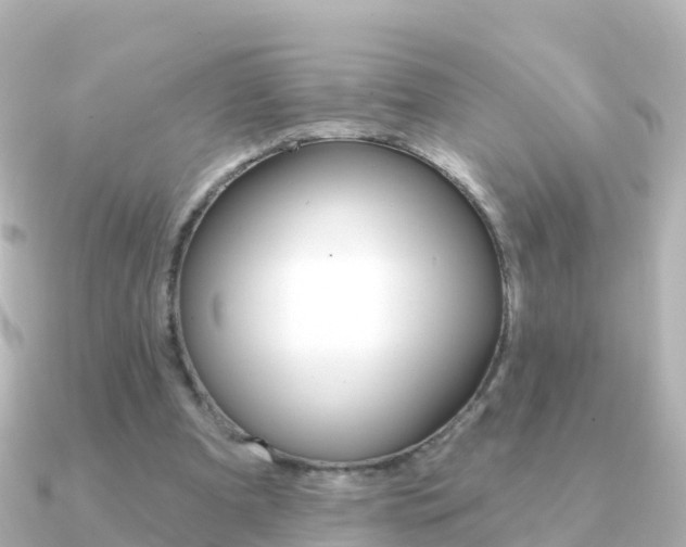 X0000091350297200708101042