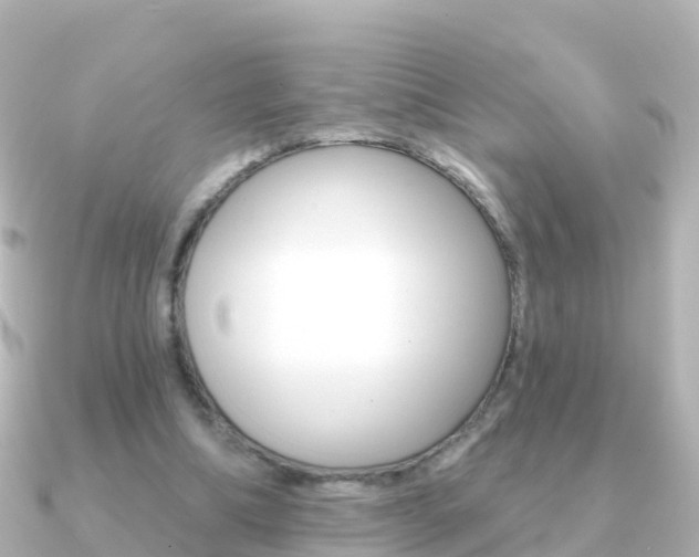 X0000091350298200708101042