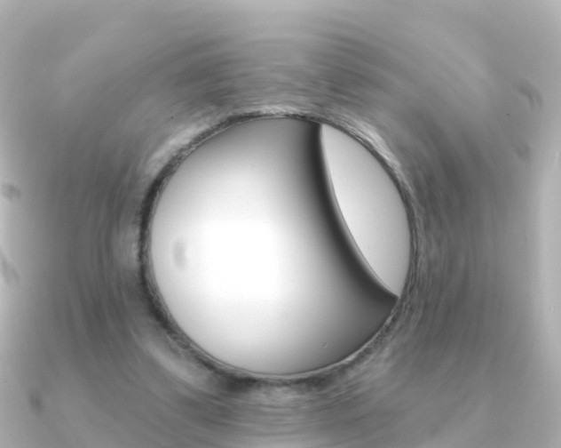 X0000091350299200708101042