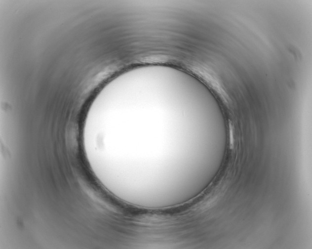 X0000091350300200708101042