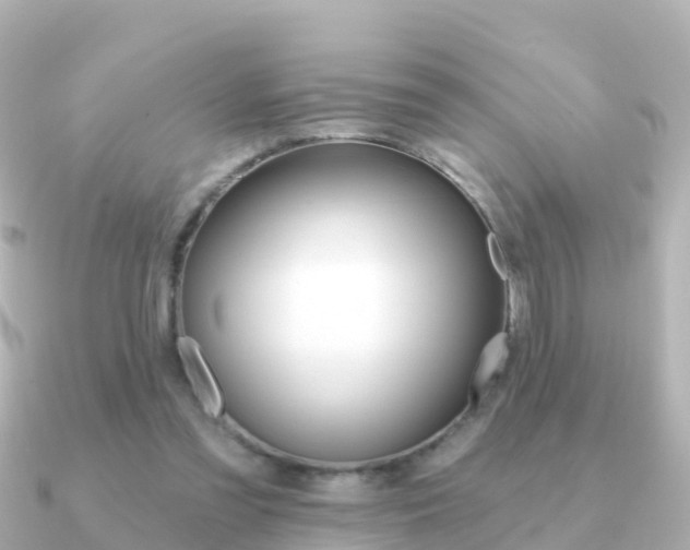 X0000091350301200708101042