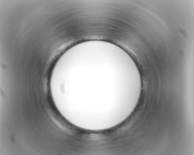 X0000091350302200708101042