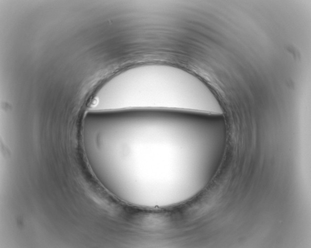 X0000091350303200708101042