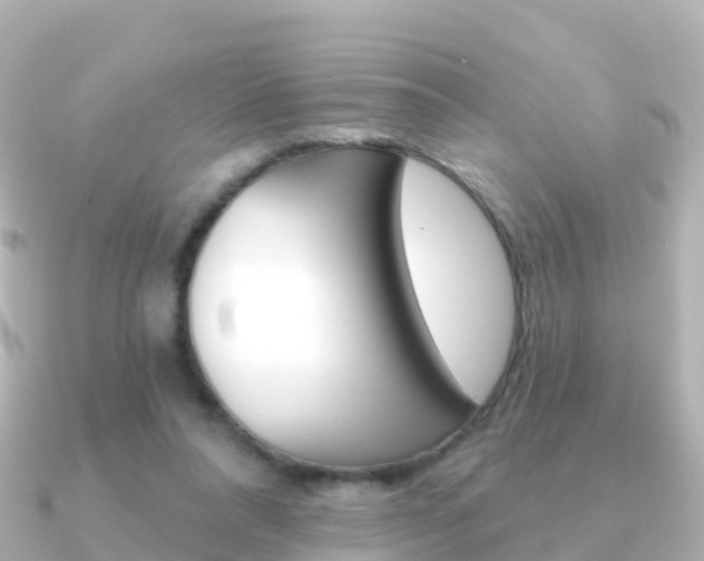 X0000091350304200708101042