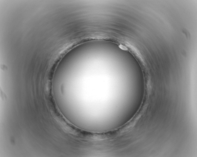 X0000091350305200708101042