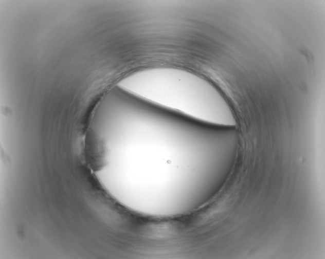 X0000091350307200708101042