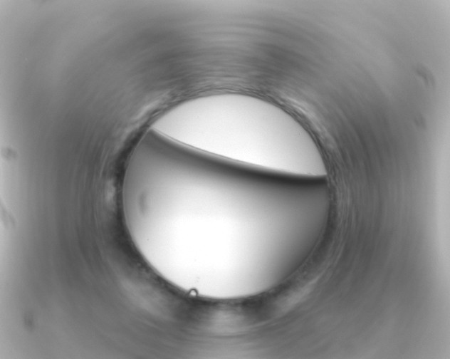 X0000091350308200708101042