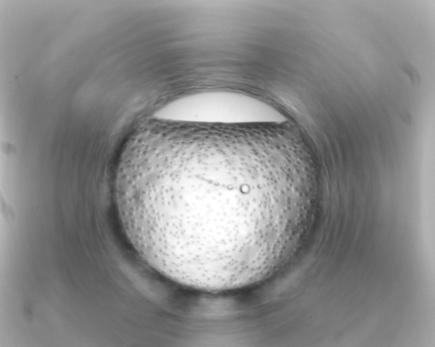 X0000091350311200708101041