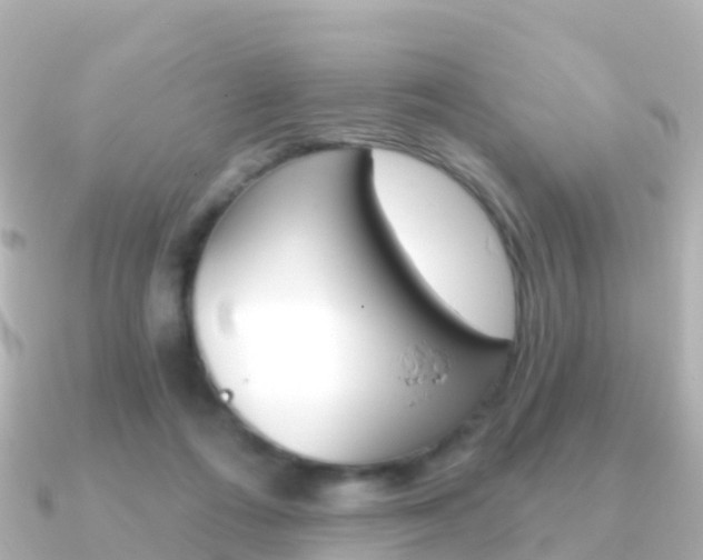 X0000091350312200708101041