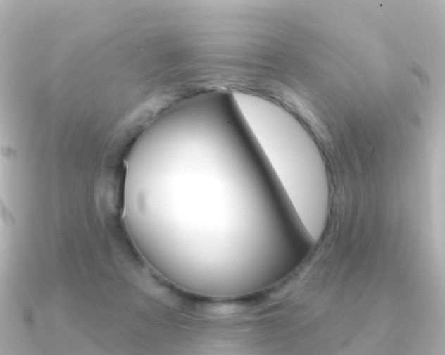 X0000091350313200708101041