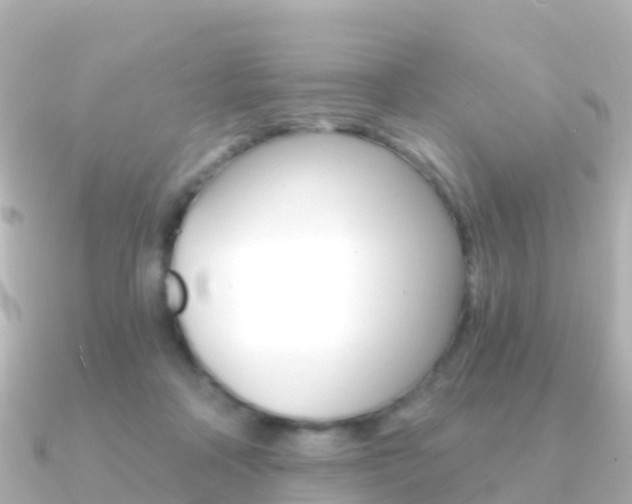 X0000091350314200708101041