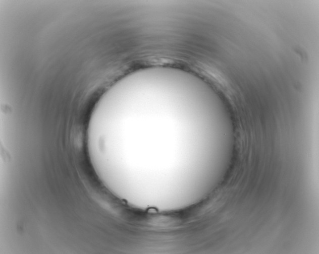 X0000091350315200708101041