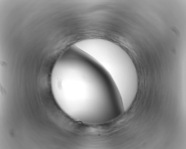 X0000091350317200708101041