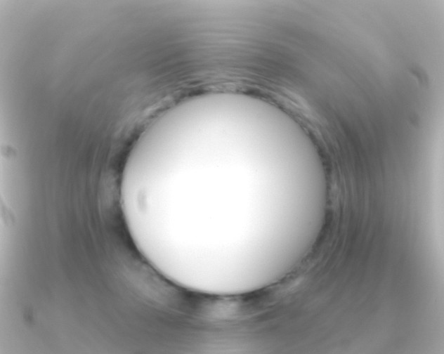 X0000091350318200708101041