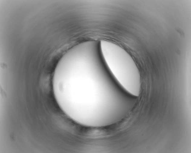 X0000091350319200708101041