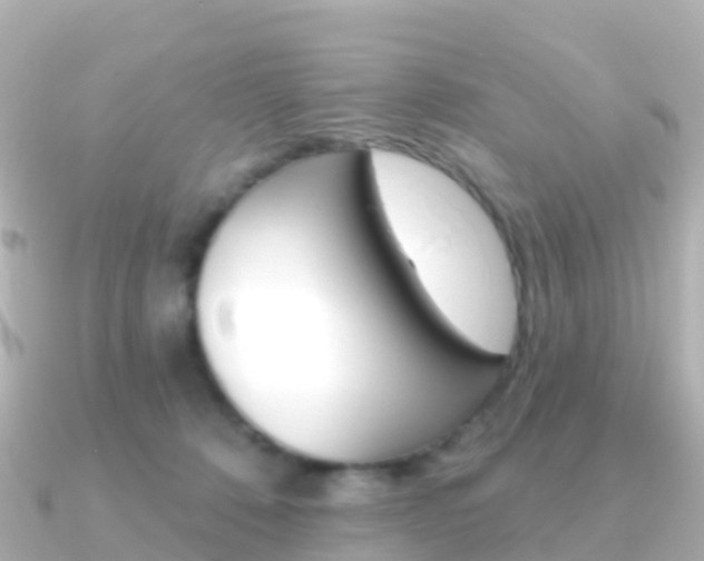 X0000091350320200708101041