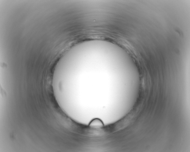 X0000091350322200708101041