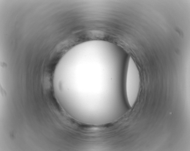 X0000091350323200708101041