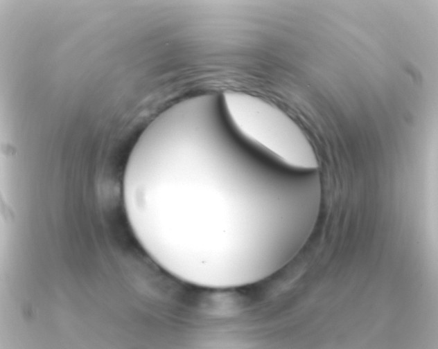 X0000091350324200708101041